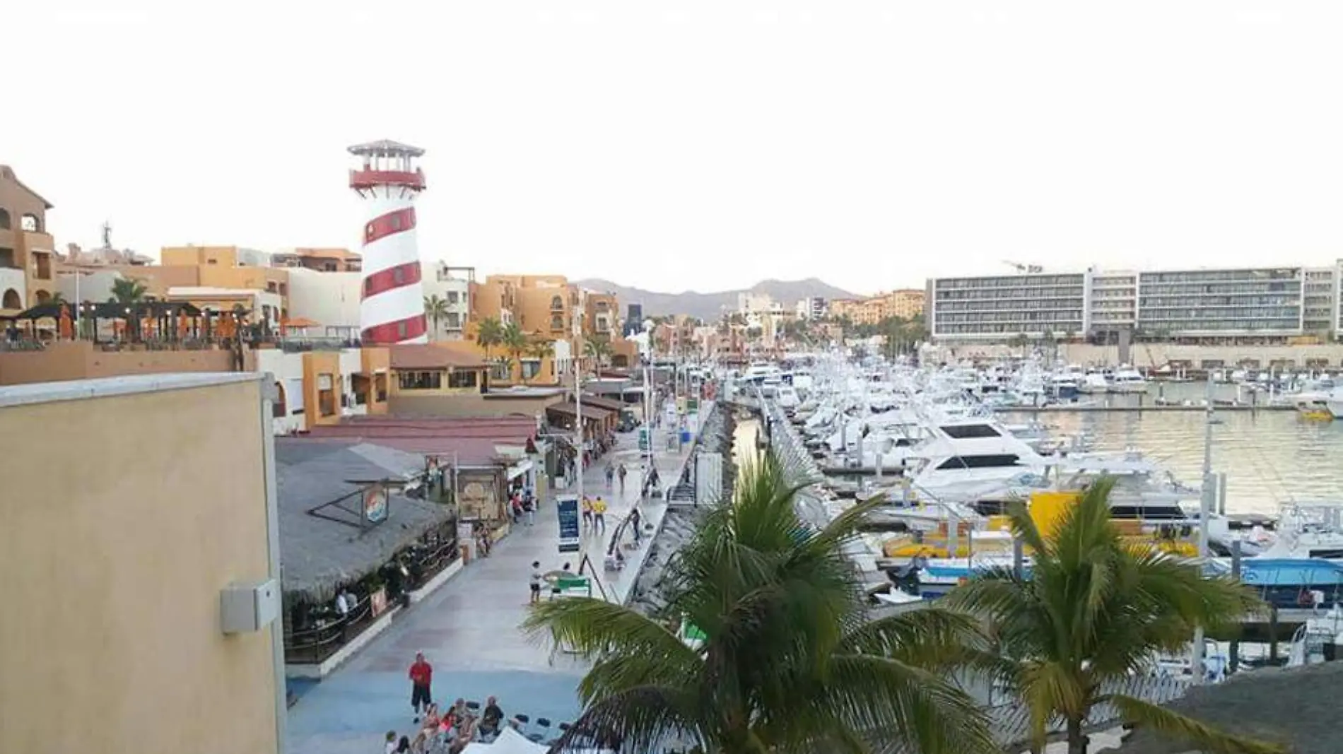 Marina Cabo San Lucas Turismo